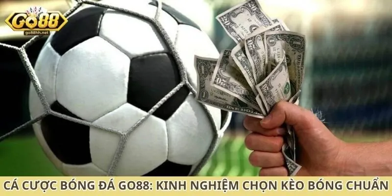 Cá cược bóng đá Go88