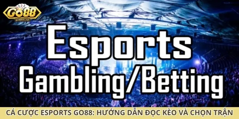 cá cược Esports Go88