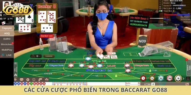Các cửa cược phổ biến trong baccarat Go88