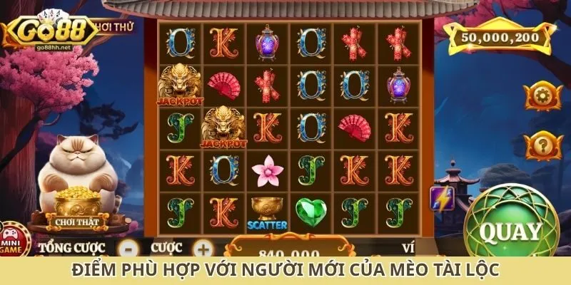 Điểm phù hợp với người mới của mèo tài lộc