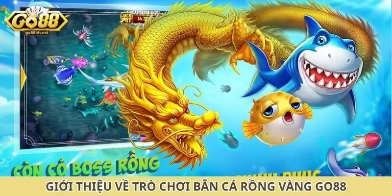Giới thiệu về trò chơi bắn cá rồng vàng Go88
