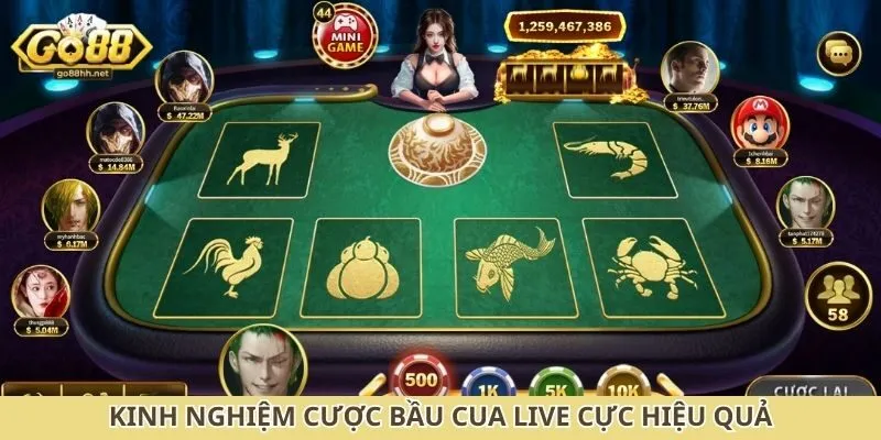 Kinh nghiệm cược bầu cua live cực hiệu quả