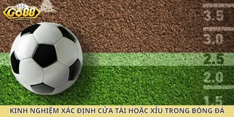 Kinh nghiệm xác định cửa Tài hoặc Xỉu trong bóng đá