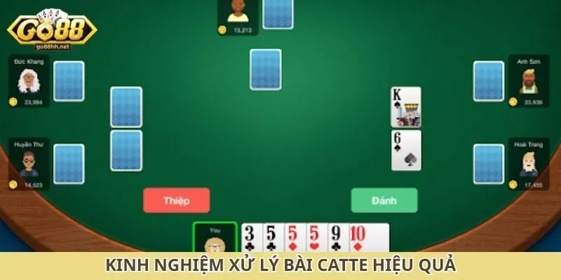 Kinh nghiệm xử lý bài catte hiệu quả