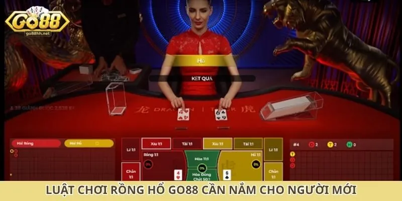 Luật chơi rồng hổ Go88 cần nắm cho người mới